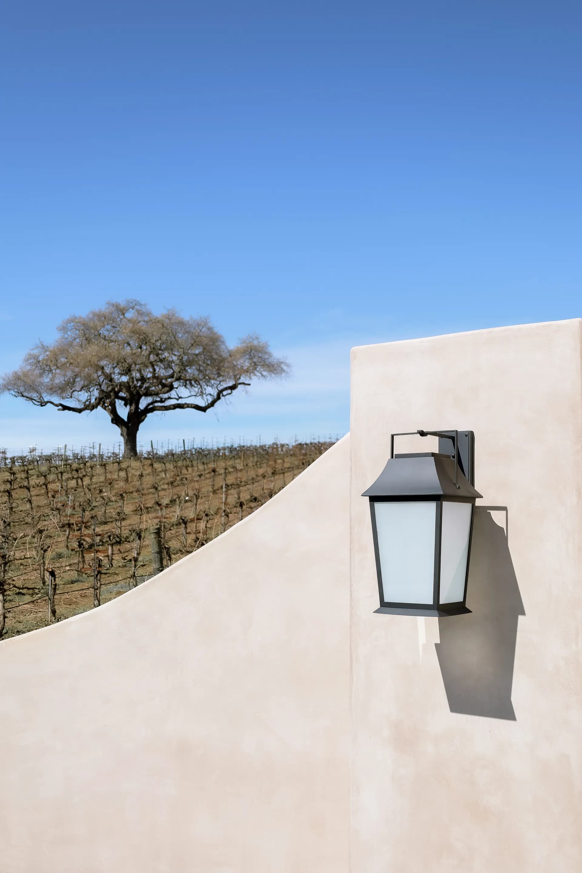 White stucco exterior wall with traditional black lantern sconce overlooking vineyard and oak tree under clear blue sky, House Rupert interior design Santa Barbara and Montecito